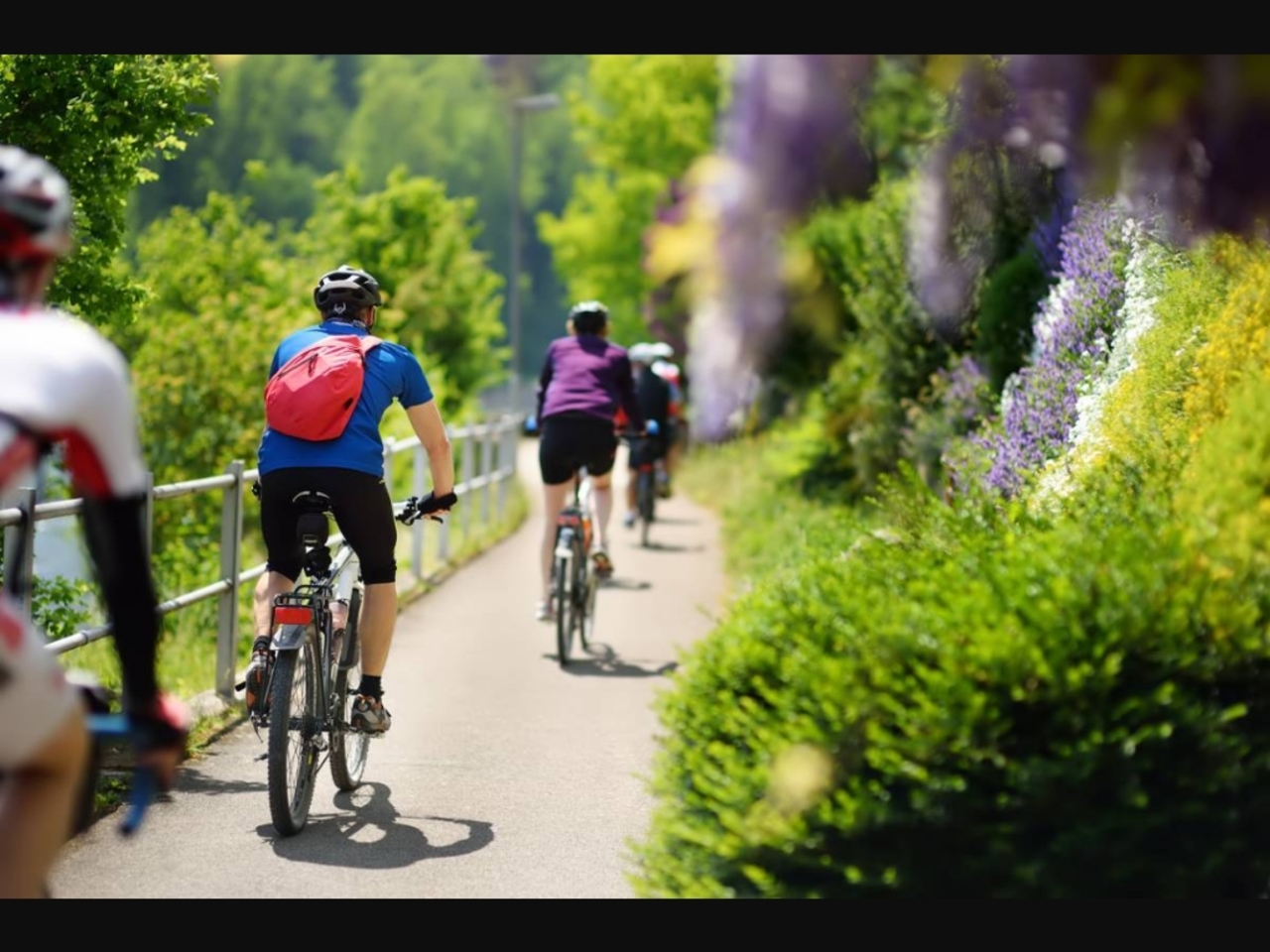 Provence Bike : partenaire de vos balades à vélo en Provence