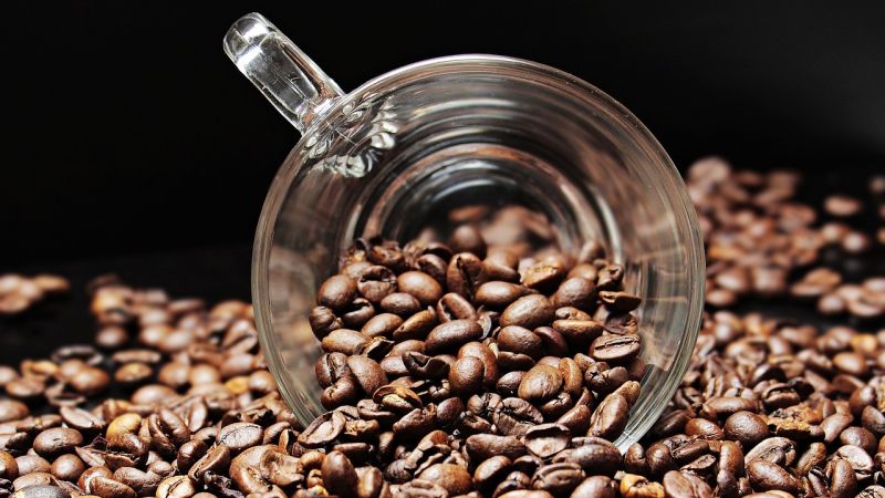 Le café robusta gagnerait-il des parts de marché ? 