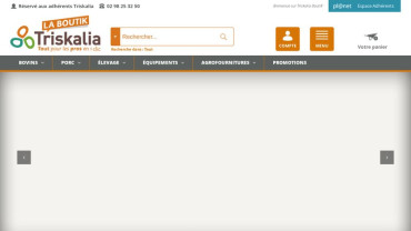 Page d'accueil du site : Triskalia