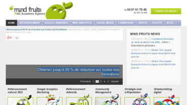 Page d'accueil du site : Mindfruits Web Academy