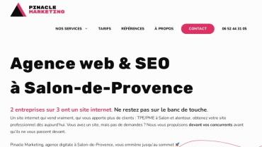 Page d'accueil du site : Pinacle Marketing