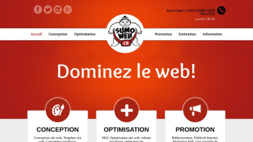 Page d'accueil du site : Sumo Web