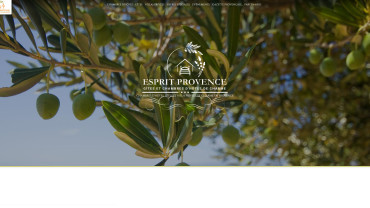 Page d'accueil du site : Esprit Provence