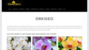 Page d'accueil du site : Orkideo